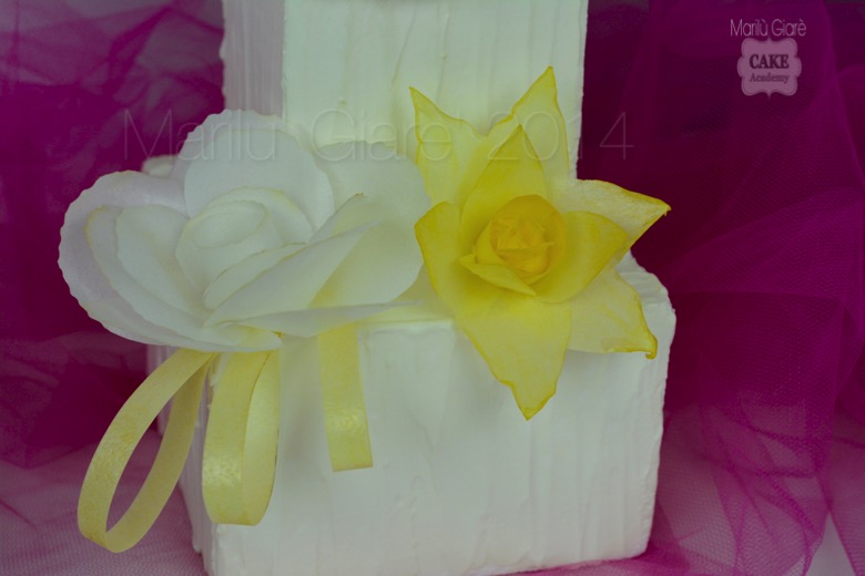 Daffodil1 1 copia